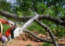 Best Lawn Dethatching  in Menifee, CA